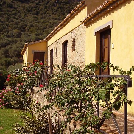 Azienda Agrituristica Biologica Il Querceto Αγία Σεβερίνα Εξωτερικό φωτογραφία