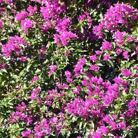 Azienda Agrituristica Biologica Il Querceto Αγία Σεβερίνα Εξωτερικό φωτογραφία