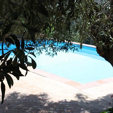 Azienda Agrituristica Biologica Il Querceto Αγία Σεβερίνα Εξωτερικό φωτογραφία