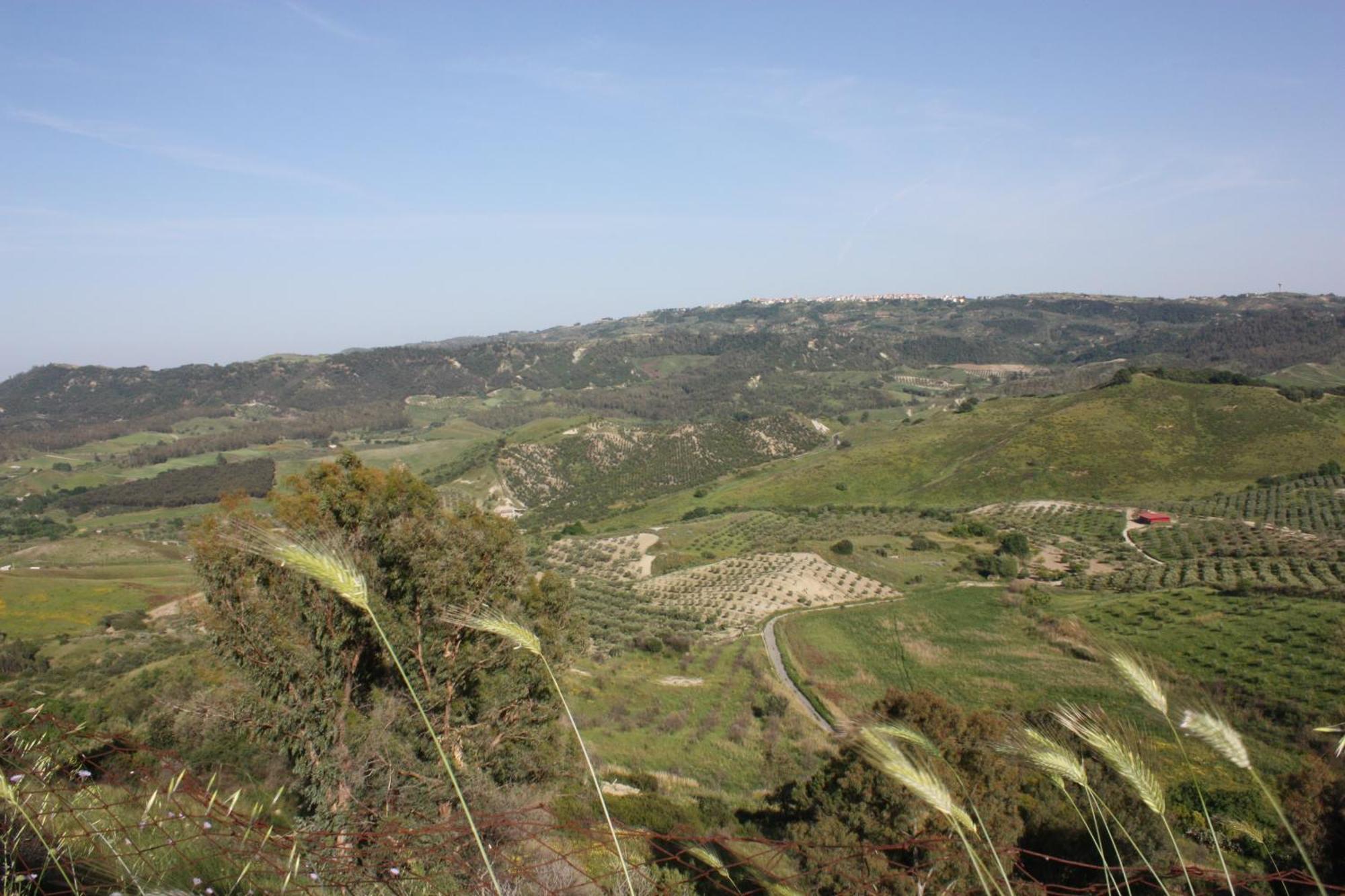 Azienda Agrituristica Biologica Il Querceto Αγία Σεβερίνα Εξωτερικό φωτογραφία
