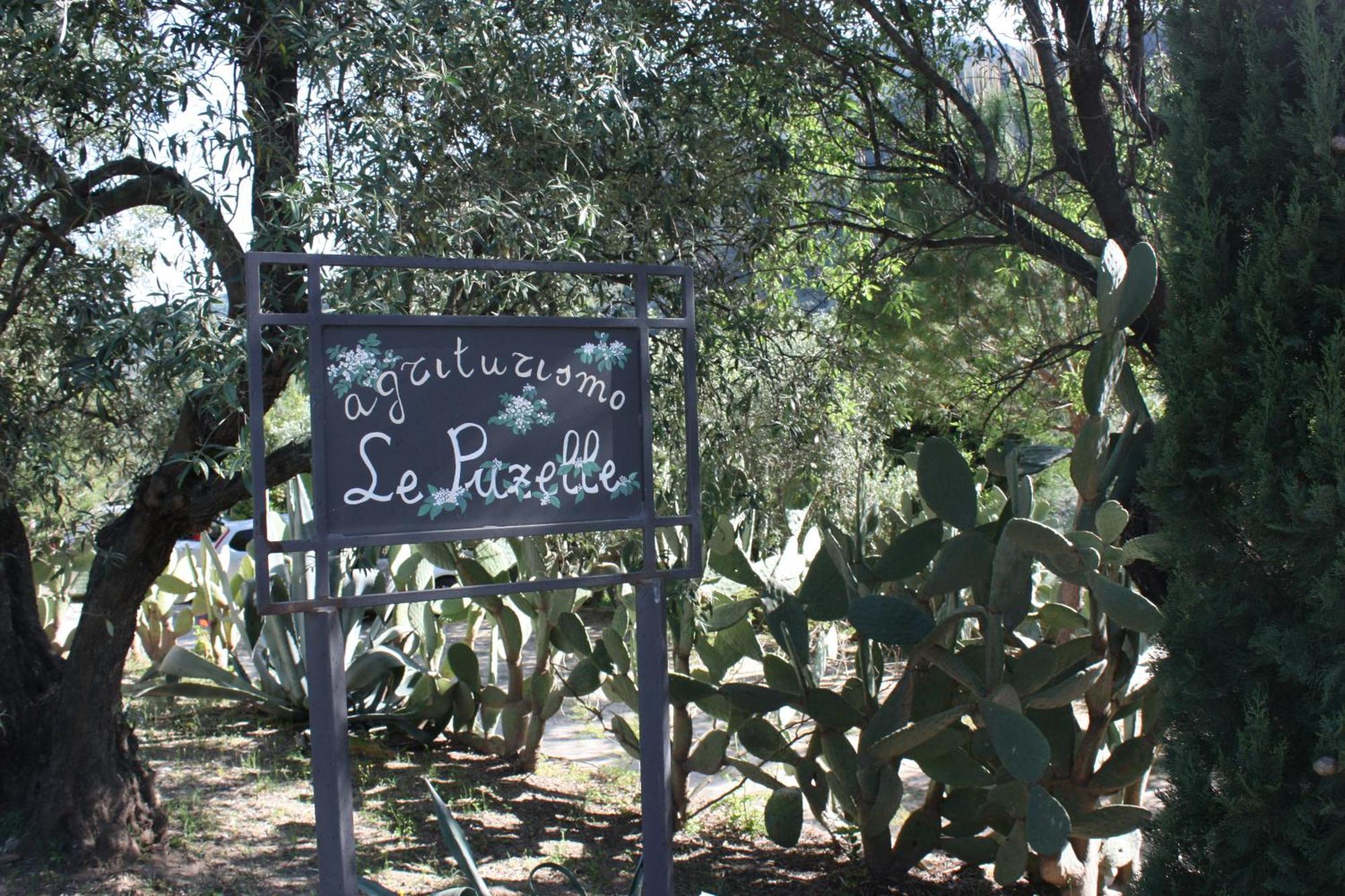 Azienda Agrituristica Biologica Il Querceto Αγία Σεβερίνα Εξωτερικό φωτογραφία