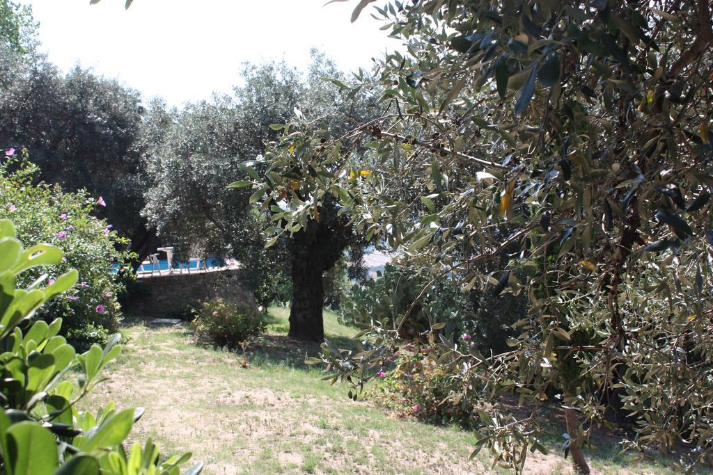 Azienda Agrituristica Biologica Il Querceto Αγία Σεβερίνα Εξωτερικό φωτογραφία