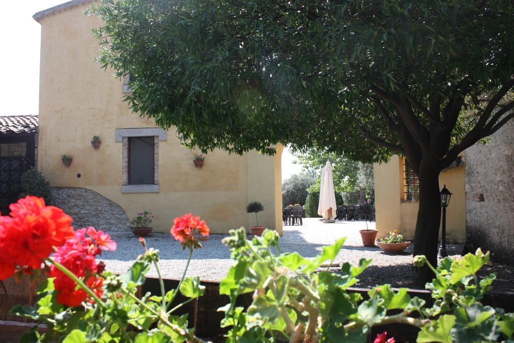 Azienda Agrituristica Biologica Il Querceto Αγία Σεβερίνα Εξωτερικό φωτογραφία