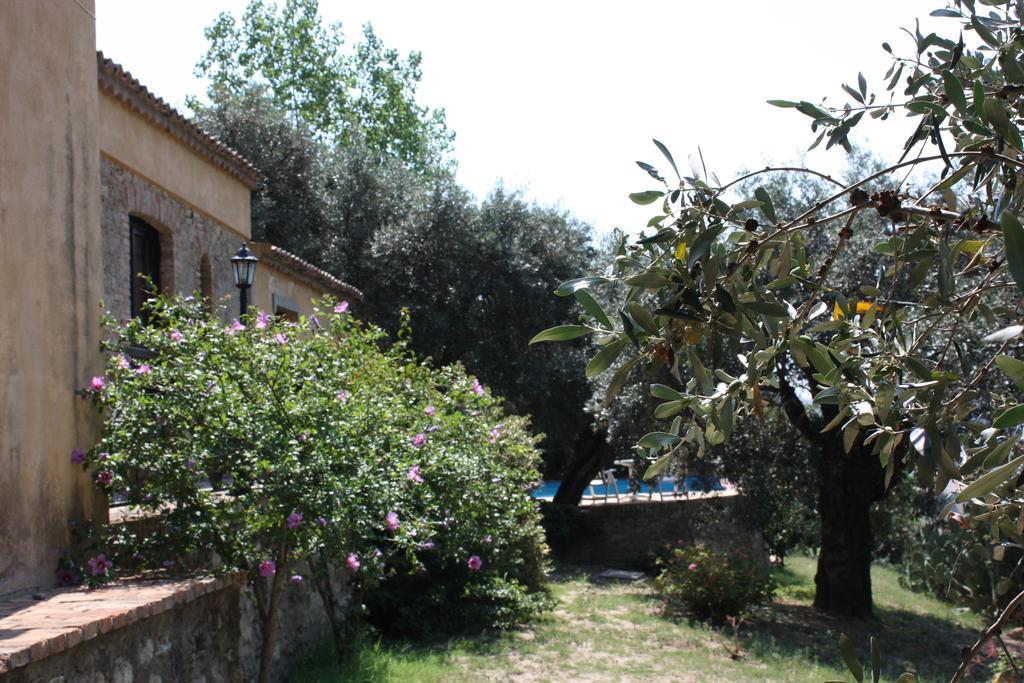 Azienda Agrituristica Biologica Il Querceto Αγία Σεβερίνα Εξωτερικό φωτογραφία