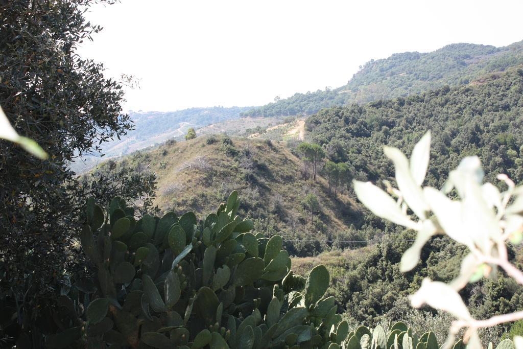 Azienda Agrituristica Biologica Il Querceto Αγία Σεβερίνα Εξωτερικό φωτογραφία