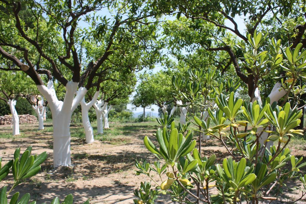 Azienda Agrituristica Biologica Il Querceto Αγία Σεβερίνα Εξωτερικό φωτογραφία