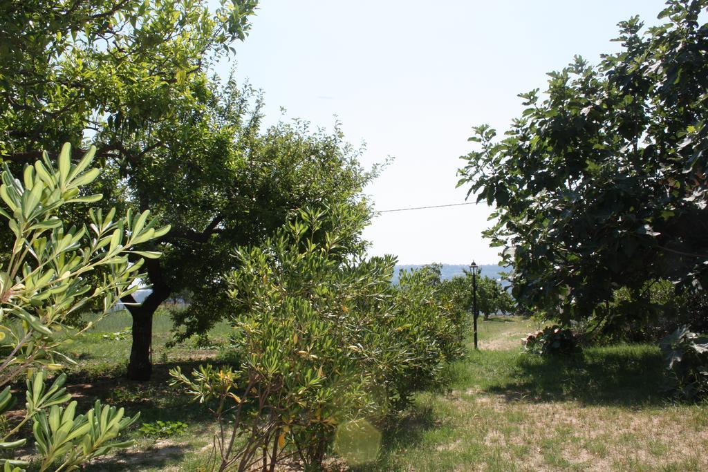 Azienda Agrituristica Biologica Il Querceto Αγία Σεβερίνα Εξωτερικό φωτογραφία