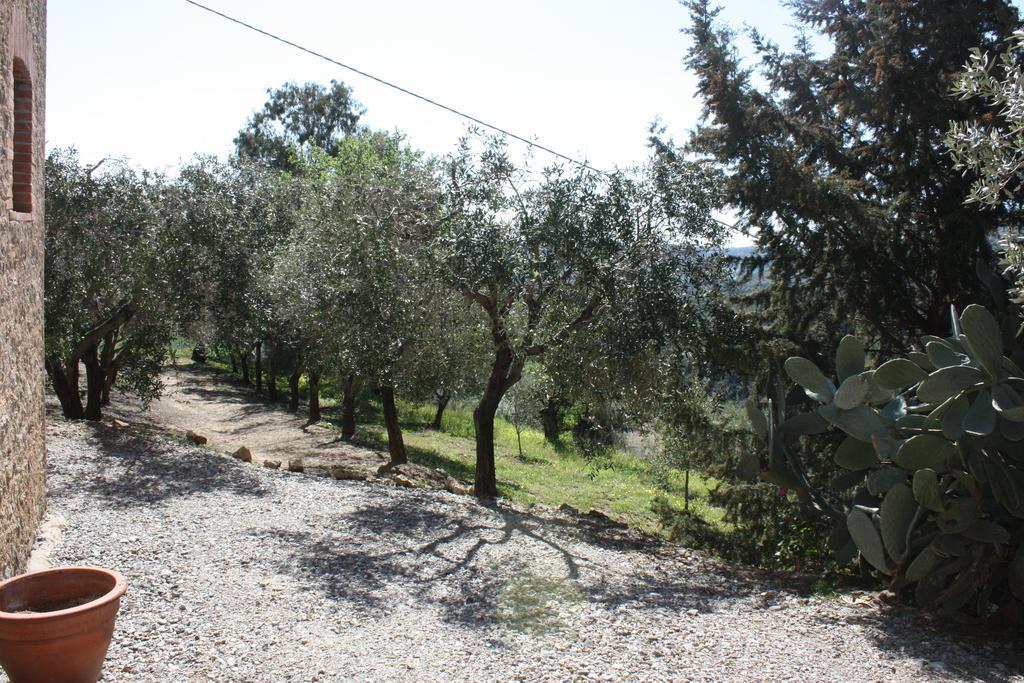 Azienda Agrituristica Biologica Il Querceto Αγία Σεβερίνα Εξωτερικό φωτογραφία