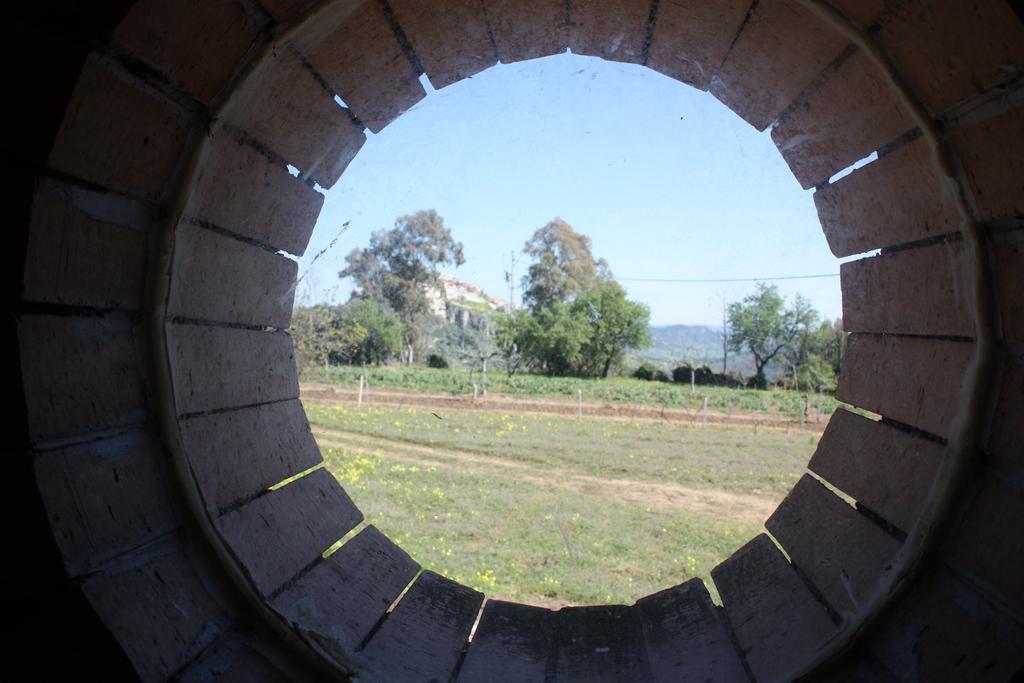Azienda Agrituristica Biologica Il Querceto Αγία Σεβερίνα Εξωτερικό φωτογραφία