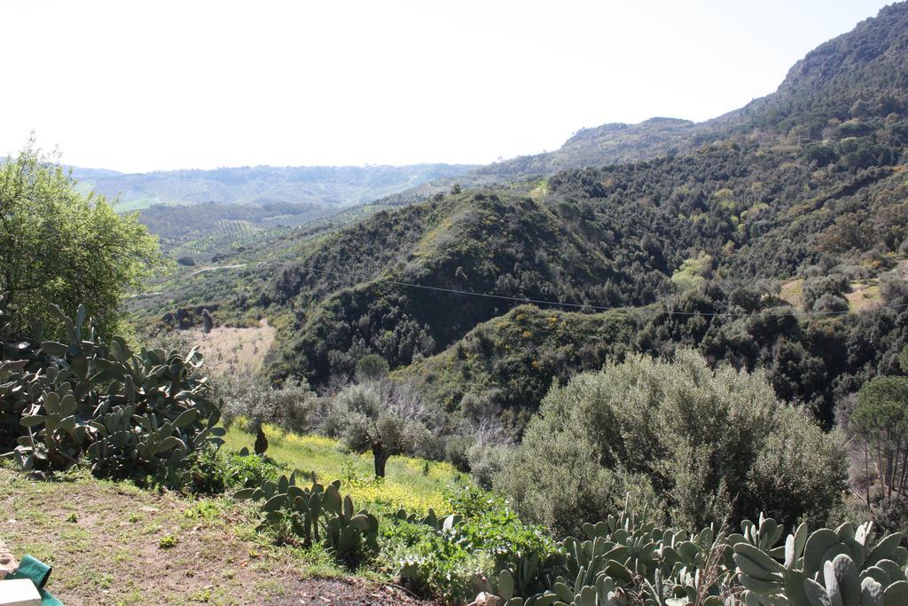 Azienda Agrituristica Biologica Il Querceto Αγία Σεβερίνα Εξωτερικό φωτογραφία