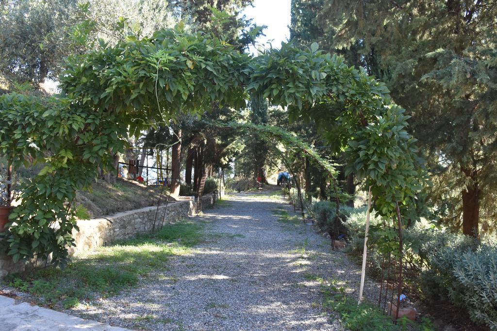 Azienda Agrituristica Biologica Il Querceto Αγία Σεβερίνα Εξωτερικό φωτογραφία