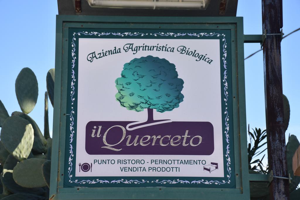 Azienda Agrituristica Biologica Il Querceto Αγία Σεβερίνα Εξωτερικό φωτογραφία